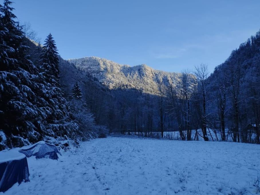 Chalet 8 Personnes + Grand Terrain Et Riviere Entremont Экстерьер фото