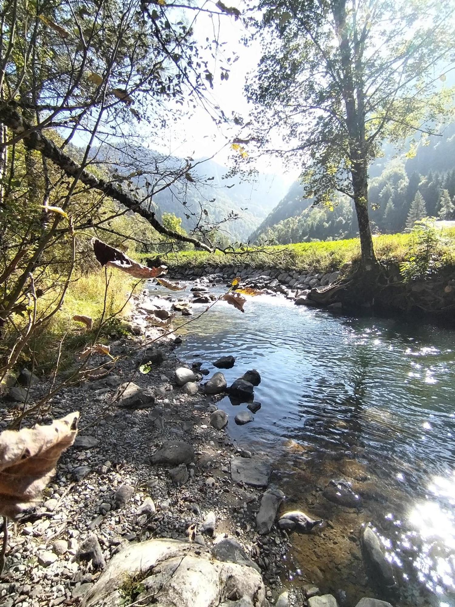Chalet 8 Personnes + Grand Terrain Et Riviere Entremont Экстерьер фото